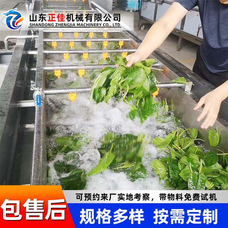 全自动果蔬水循环气泡清洗机大姜高压喷淋清洗机玉米清洗设备