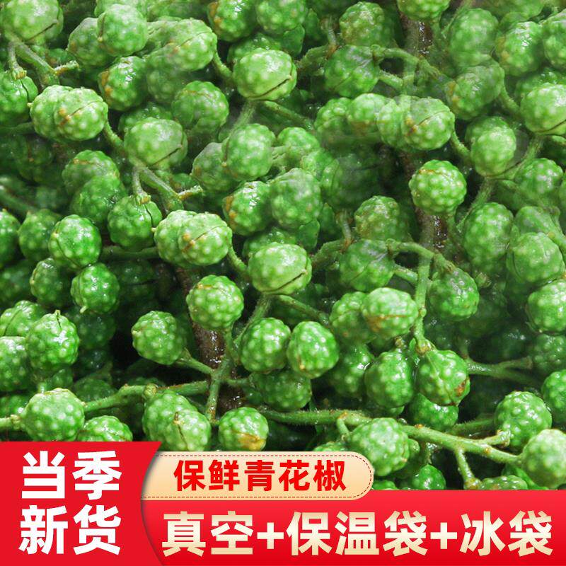 花椒爆汁藤椒保鲜青花椒350g特麻重庆江津九叶青花椒粒官方旗舰店
