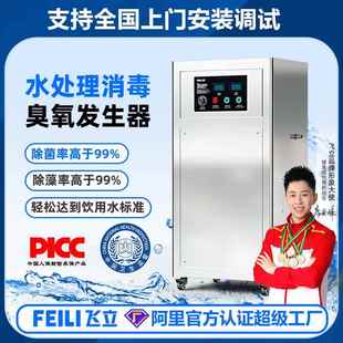 飞立纯水处理臭氧发生器 臭氧发生器 原水杀菌脱色除藻200g水冷式