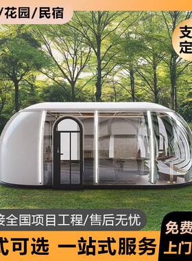 旅游景区PC透明星空房户外露营民宿酒店名宿创意球形星空屋帐篷房