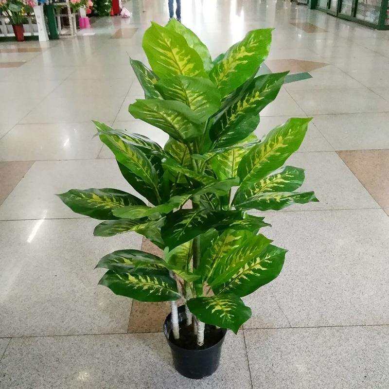 厂家仿真万年青绿钻树盆景绿植盆栽塑料室内酒店陈列装饰摆件