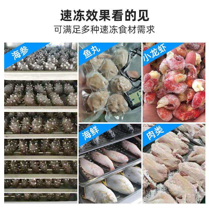 水冷式冷冻柜水速塔速冻机商用冷冻低温急冻柜冷柜食品595冰柜风