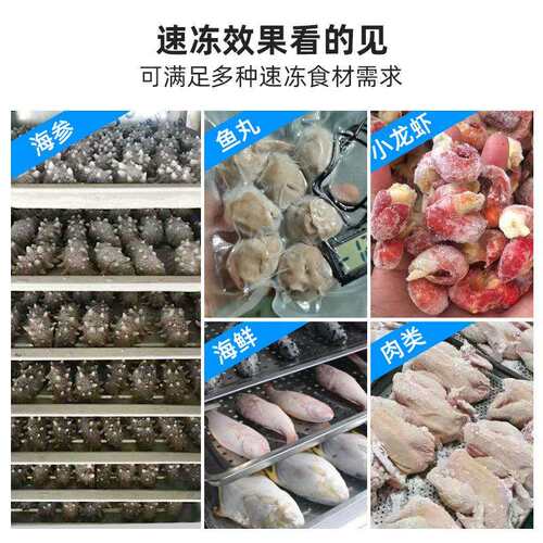 水冷式速冻柜水塔速冻机商用冷冻柜低温急冻冷柜食品冰柜风冷冰箱