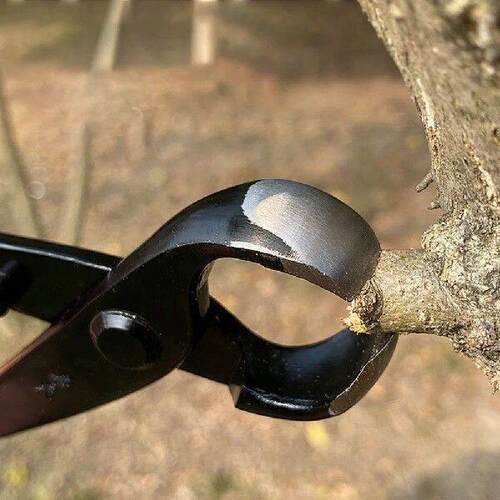 Plants Branch Pruner Cutter with Spherical Incision Bonsai