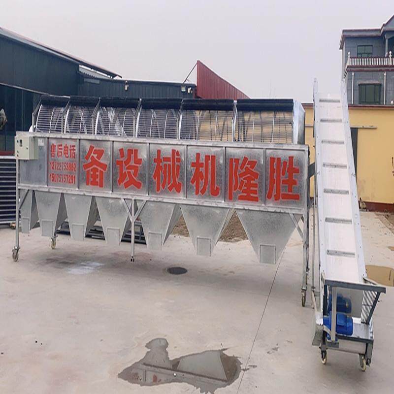 大型灰枣筛选机 骏枣滚筒分级 厂家供应 节能高效 筛选均匀 简单