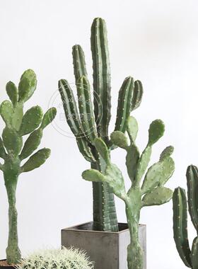 仿11255真仙人掌沙生格景植物造景搭配龙风神柱门店堆店装饰落铺