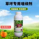 草坪增绿剂草皮染色剂植物喷绿剂养护剂枯草变绿草坪剂园林绿化草
