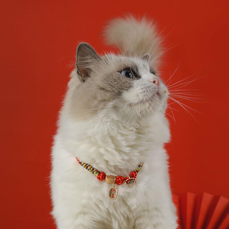 猫咪项圈饰品猫围脖专用项链宠物铃铛猫脖子配饰用品大全小猫挂件