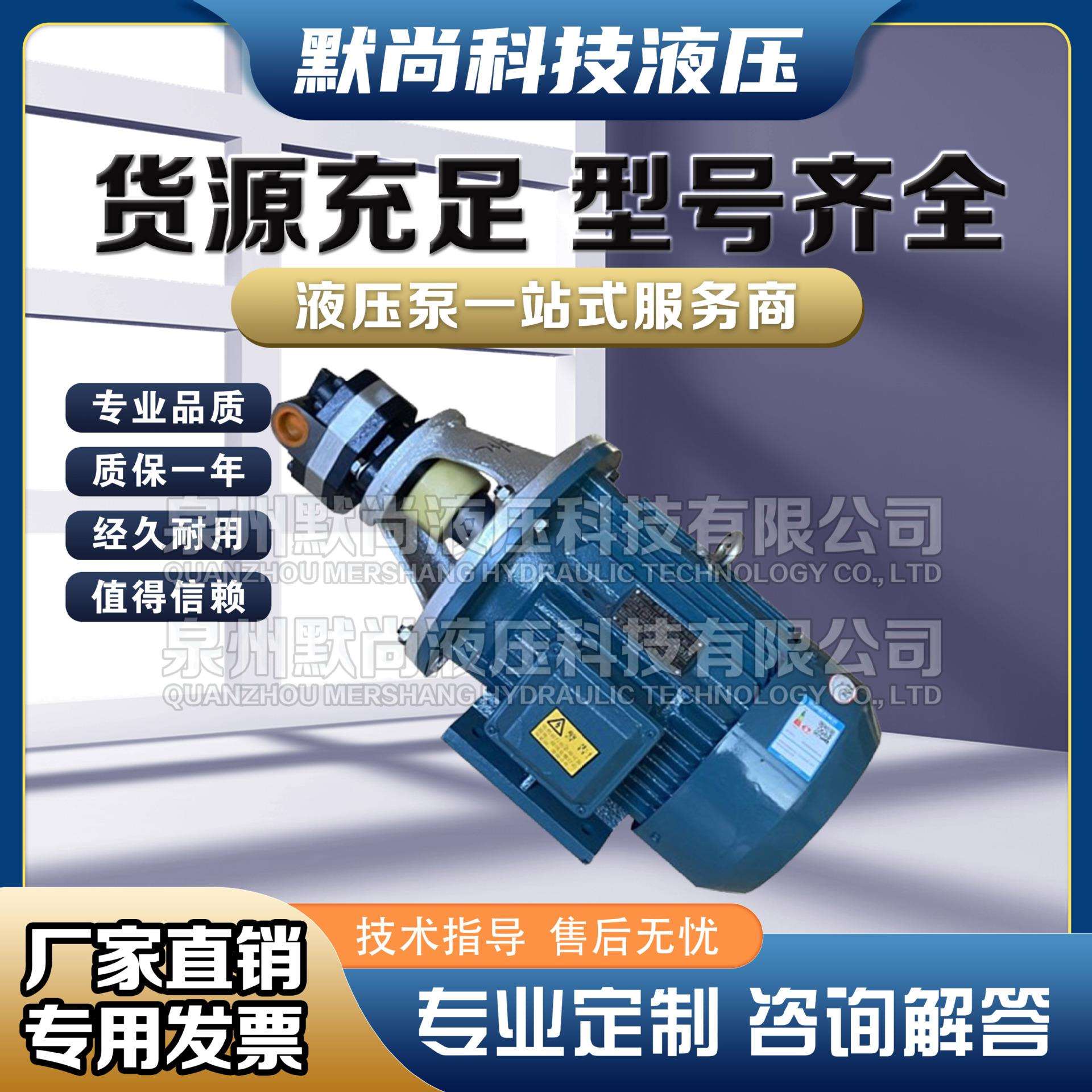 液压油泵电机组0.75KW1.5KW液压泵总成内轴电机液压站配件系统图片