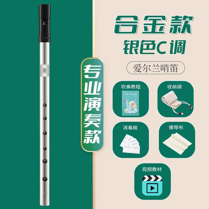 正品爱业尔兰哨笛C调D笛子初儿童专演学奏调金属直笛竖笛乐器小学