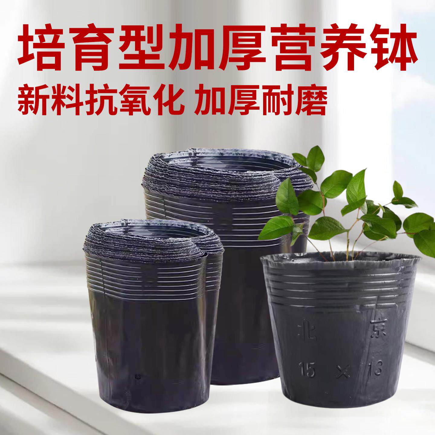 营养杯营养钵育苗杯育苗盆黑色营养袋天麻桶黑色一次性种磨芋桶