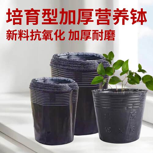 营养杯营养钵育苗杯育苗盆黑色营养袋天麻桶黑色一次性种磨芋桶