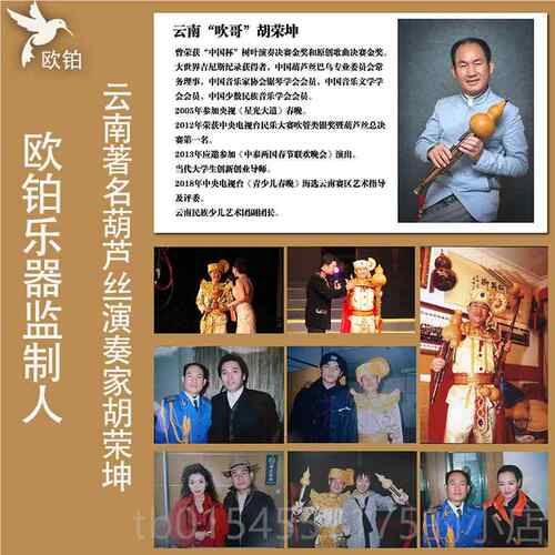 正品欧铂芦丝乐器初学c调f降型b调调专业葫演奏乐器儿童云南天然