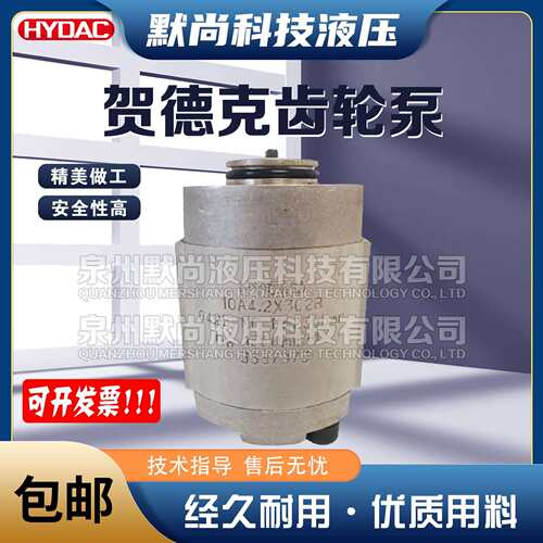 进口原装德国贺德克HYDAC高压齿轮泵10A3.75X302B10A4.2X302B油泵