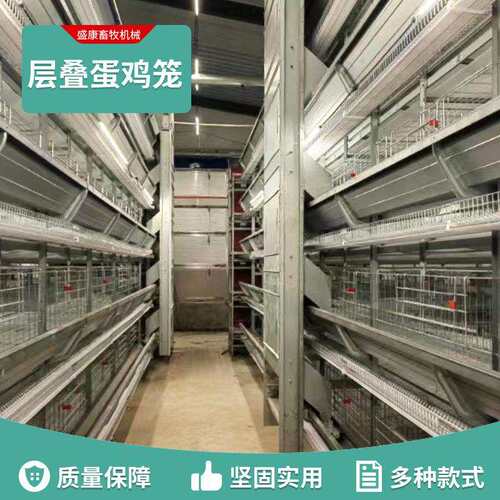 层叠蛋鸡笼立式全自动四层集蛋清粪鸡子笼鹌鹑养殖育雏笼家禽