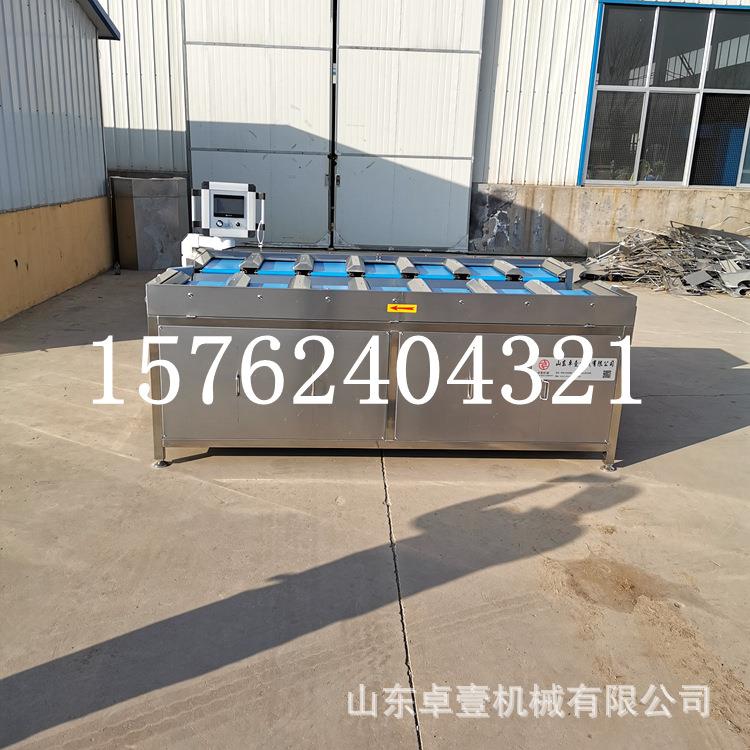 海鲜产品白条鸡鸡翅鸡腿重量组合配重分拣机果蔬土豆红薯称重分级