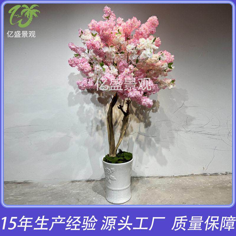 展翔仿真樱花树厂家景区观赏点樱花树学校庭院工程实木樱花树