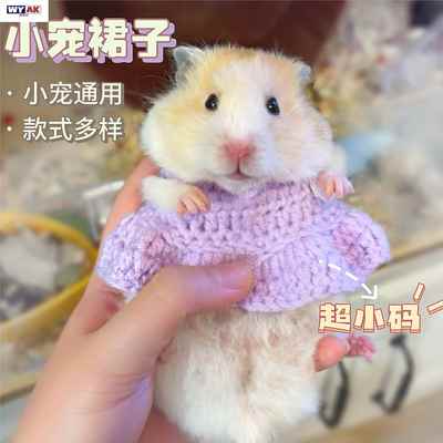 仓鼠专用小衣服裙子金丝熊荷兰猪松鼠花枝鼠蜜袋鼯宠物迷你四季通