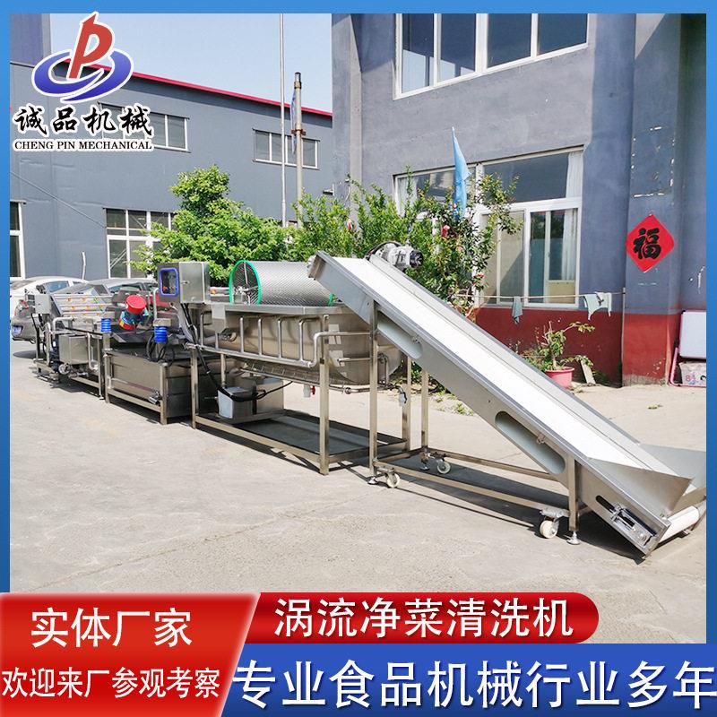 樱桃桑葚涡流清洗机净菜加工旋流清洗震动沥水线蔬菜段条片冲洗