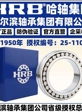 HRB 哈尔滨轴承 NN 3009 3010 3011 3012 K/W33 P5 P4 圆柱滚子
