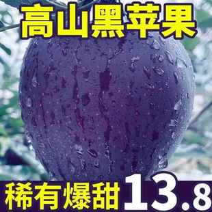 黑苹果10斤甘肃黑卡黑钻紫色脆甜嘎啦不常见的新鲜水果当季一整箱