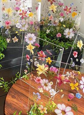 压克力透明写真相框压克力干燥花diy材料包植物标本摆台手工制作