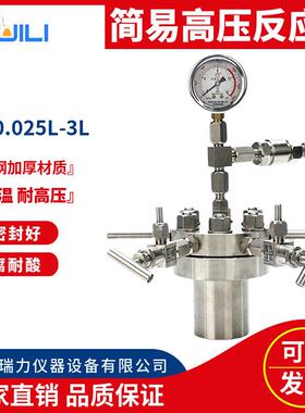 厂家瑞力仪器简易反应釜CF实验室不锈钢温压反应釜四氟内衬