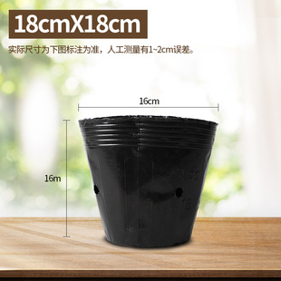 荷花盆加厚一次性黑色塑料无孔碗莲盆水生植物育苗盆睡莲盆营养钵