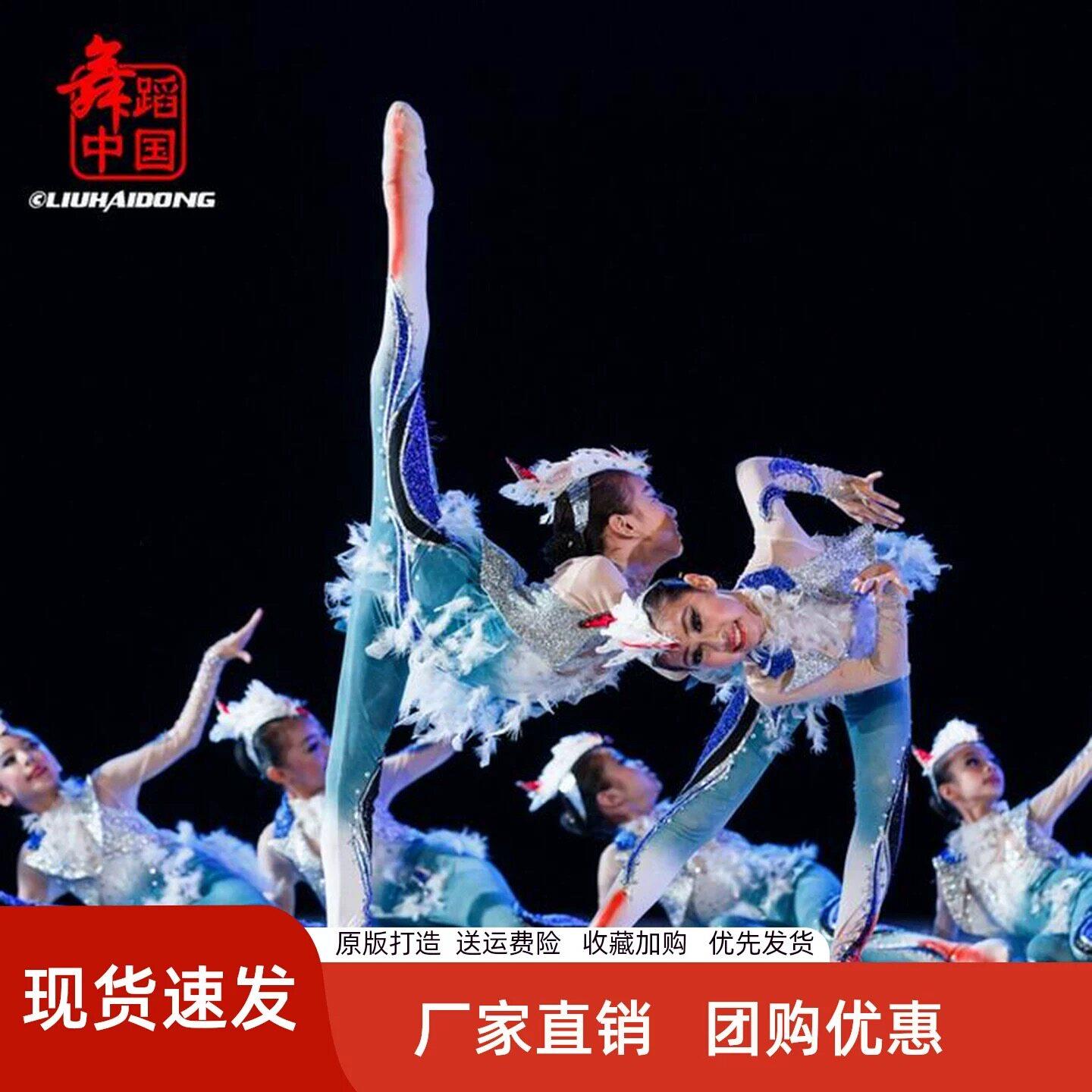 小荷风采翅膀的呼唤舞蹈服儿童演出服小鸟小动物造型连体表演服装