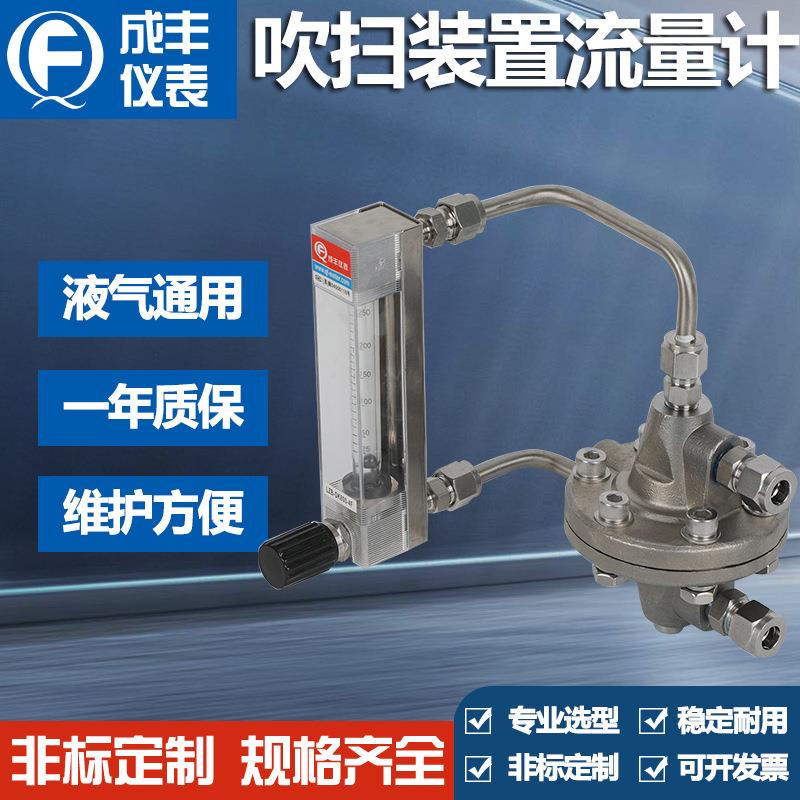 厂家直销吹扫装置流量计恒流流量计气体稳压流量计减压装置性能好