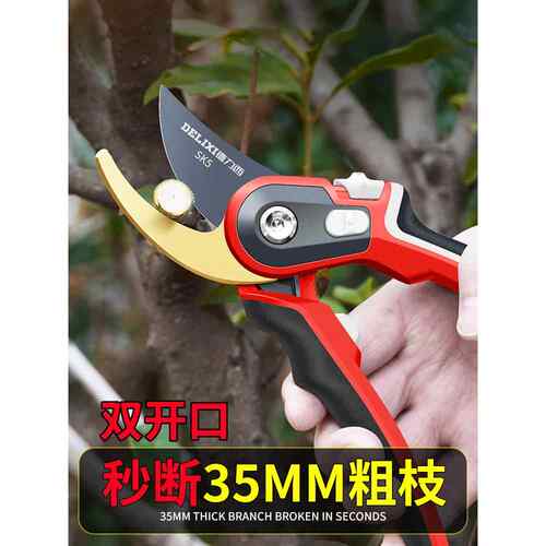 修枝剪刀花园果树树枝剪园艺枝花剪花艺修剪园林工具124