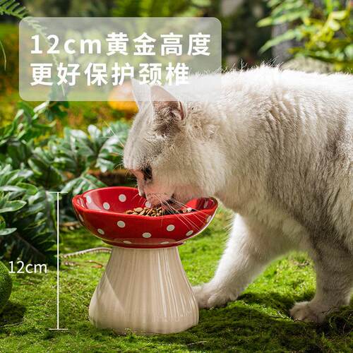 猫碗陶瓷护颈宠物猫咪狗狗斜口防打翻防黑下巴高脚喝水吃饭猫食盆