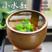 鱼缸大缸陶瓷乌龟饲养缸老式 小水缸阳台户外养睡莲盆荷花缸大瓦缸