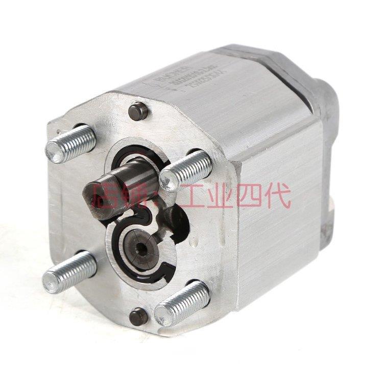 布赫BUCHER齿轮泵800201518-2.5cc货号AP100/2.5S309