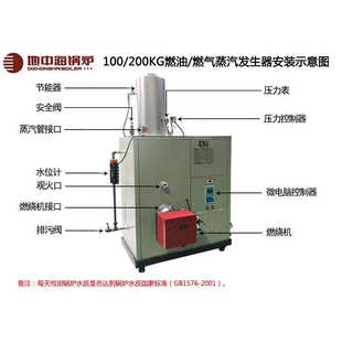 整烫瓦楞纸制作100KG燃油蒸汽发生器锅炉 地中海直销工业加热服装