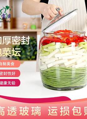 米酒罐容器发酵酒缸酒坛家用酿酒泡菜坛腌咸菜的缸家用罐子掩菜坛