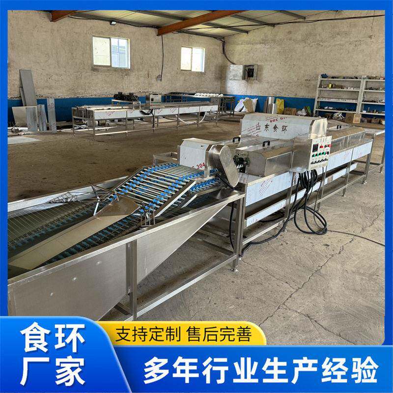 全自动洗蛋机不锈钢咸鸭蛋麻酱蛋清洁机器鹌鹑蛋鹅蛋清洗机厂家