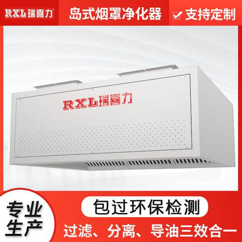 瑞喜力烟罩式油烟净化一体机商用饭店厨房餐饮环保低空净化设备