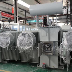 10KV全铜油浸式 变压器三相电力变压器二级能效电压 3150KVA S20
