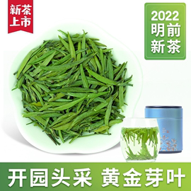 茶当家茶叶绿茶金坛雀舌新茶2023特级嫩芽毛尖春茶青香散装礼盒装