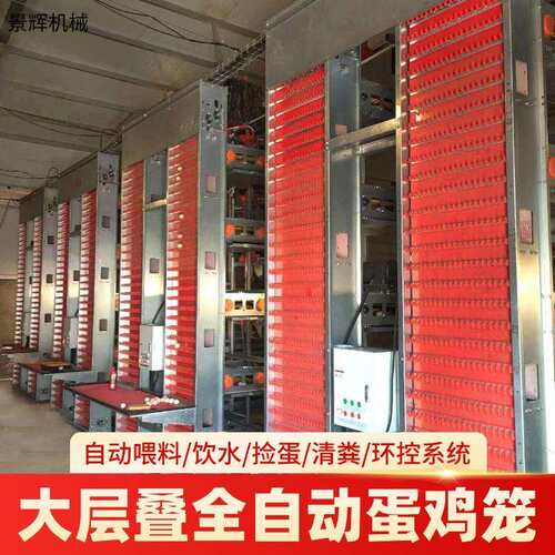 全自动大层叠蛋鸡笼厂家大规模现代化清粪养殖场鸡笼设备养殖笼具