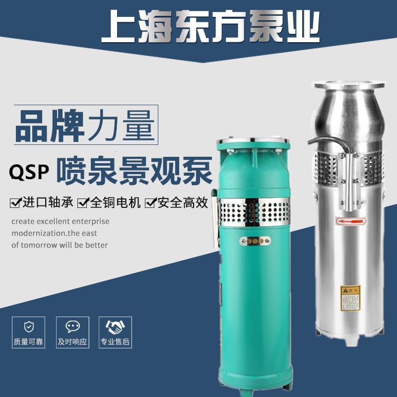 上海东方泵业不锈钢喷泉泵潜水泵QS/QSP小型井用泵花园景观喷泉泵