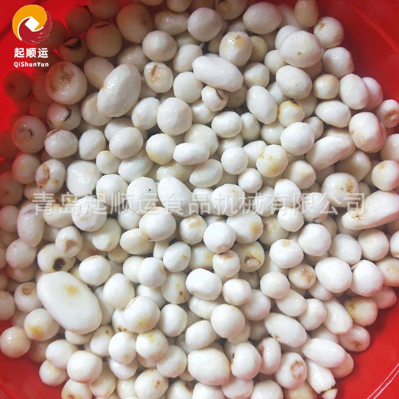厂家货源自动螺旋毛刷清洗机 清洗土豆去皮机 洋姜毛辊去皮清洗机