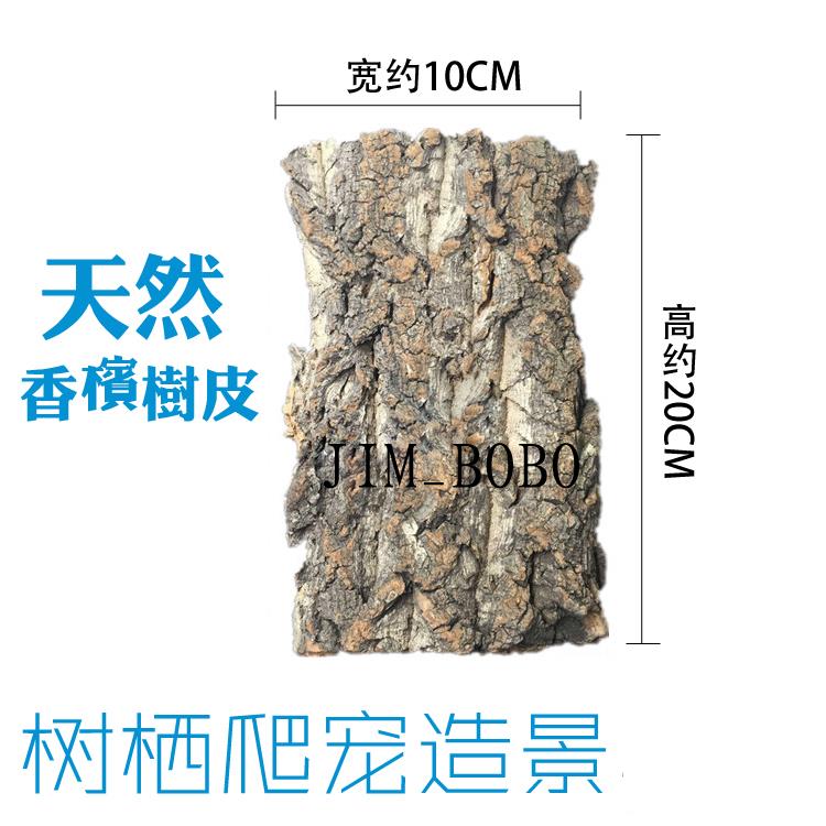 香槟木树皮爬虫树栖蜘蛛守宫蜥蜴躲避饲养箱造景树皮空气凤梨定植