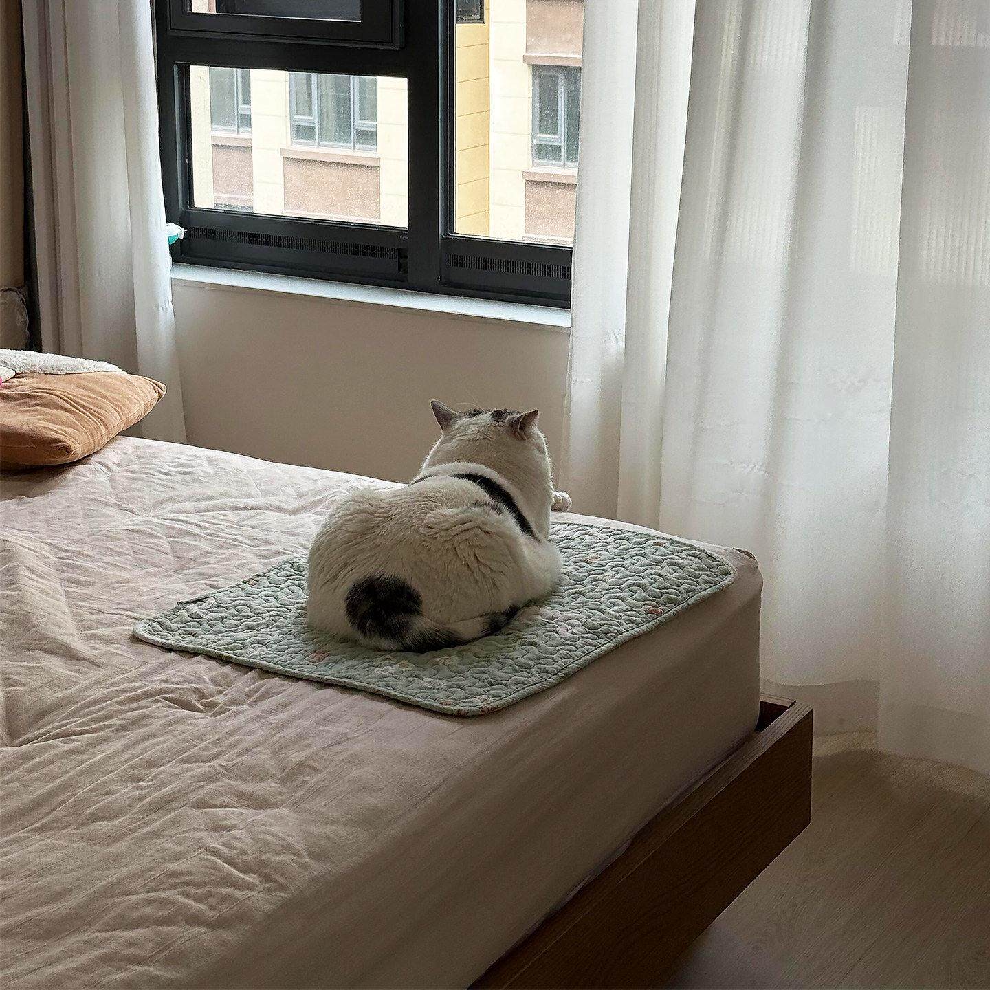 猫垫子睡觉用不沾毛猫窝四季通用狗狗睡垫夏季透气2026新款趴趴垫
