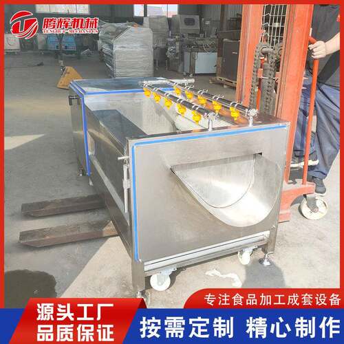 厂家供应毛辊清洗机 海蛎子去泥清洗设备 土豆胡萝卜去皮清洗机