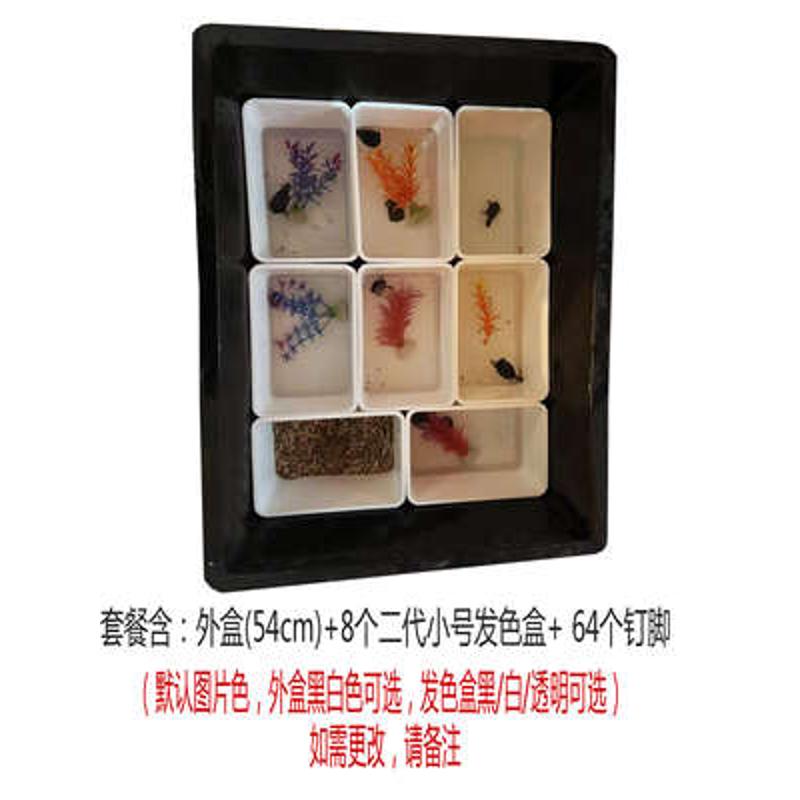 黑白乌龟发色盒带盖收纳爬宠虫饲养盒缸鱼龟苗隔离盒鳄龟分养蛋龟