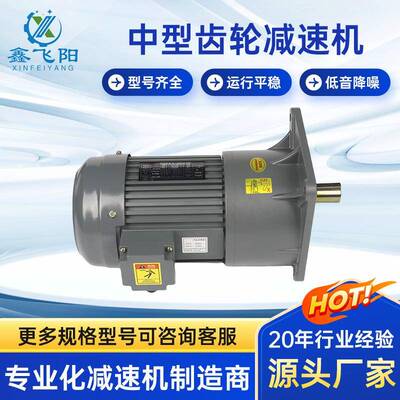 标准双轴中型齿轮减速机质量保证100W-3700W立式/卧式减速机