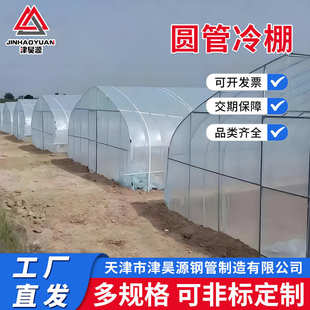 温室蔬菜花卉春秋棚 天津厂家简易单体冷棚 薄膜日光种植棚