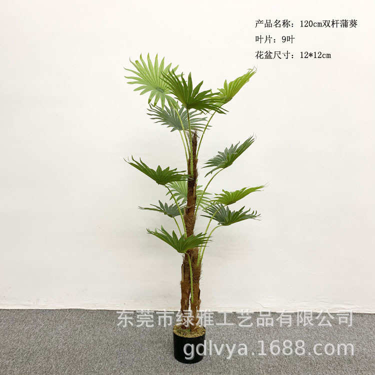 厂家葵美盆栽绿陈植大型装饰仿真造景树橱窗假植棕榈葵批发物树扇
